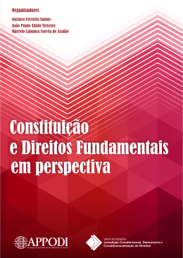 Constituição e Direitos Fundamentais em perspectivas