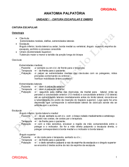 APOSTILA PALPAT&Oacute;RIA 2