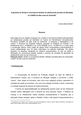 A garantia do direito &agrave; conviv&ecirc;ncia familiar ao
