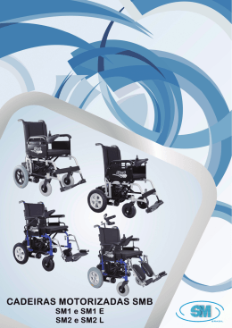 &iacute;ndice - seat mobile