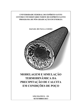 Modelagem e Simulação Termodinâmica da Precipitação de Calcita