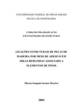 ligações estruturais de peças de madeira por meio de adesivo em