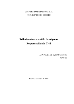 Reflex&atilde;o sobre o sentido da culpa na Responsabilidade