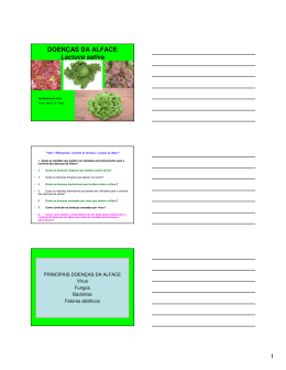 DOEN&Ccedil;AS DA ALFACE Lactuca sativa