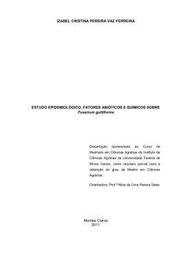 izabel cristina pereira vaz ferreira