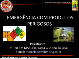 0.120394001376591526_apresentacao_palestra_pp_3