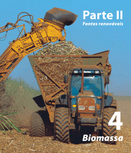 4 | Biomassa