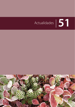 Actualidades 51