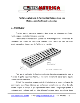 Perfis Longitudinais de Pavimentos Rodoviários e sua Medição com