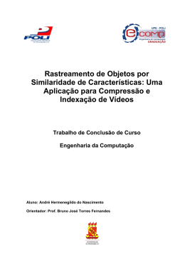 Rastreamento de Objetos por Similaridade de Caracter&iacute;sticas: Uma