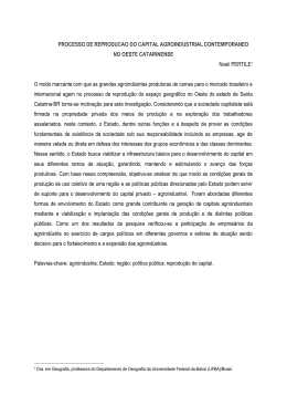 processo de reproducao do capital agroindustrial contemporaneo