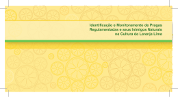 laranja lima_f04 - Minist&eacute;rio da Agricultura