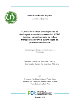 Culturas de Células em Suspensão de Medicago truncatula