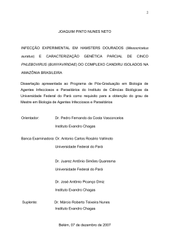 2 JOAQUIM PINTO NUNES NETO INFEC&Ccedil;&Atilde;O