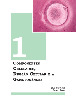 1componentes celulares, divis&atilde;o celular e a gametog&ecirc;nese