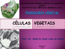 14. células vegetais