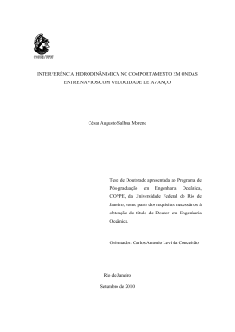INTERFER&Ecirc;NCIA HIDRODIN&Acirc;NIMICA NO COMPORTAMENTO EM