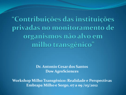 Dr. Antonio Cesar dos Santos Dow AgroSciences Workshop Milho