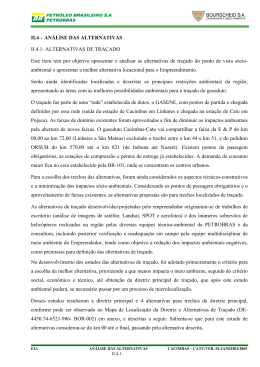II.4 &ndash; AN&Aacute;LISE DAS ALTERNATIVAS II.4.1