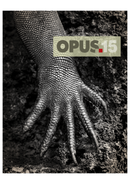 HDV_#81_OPUS ONE 15