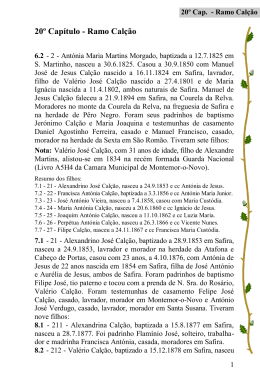 imprimir cap.20 - livro Lavradores de Montemor