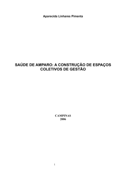 saúde de amparo: a construção de espaços coletivos de gestão