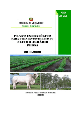 Plano Estrat&eacute;gico para o Desenvolvimento do Sector Agr&aacute;rio (PEDSA)
