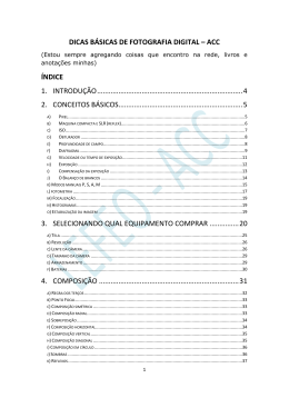 DICAS B&Aacute;SICAS DE FOTOGRAFIA DIGITAL &ndash; ACC &Iacute;NDICE 1