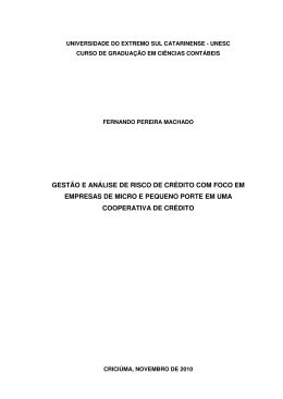 gest&atilde;o e an&aacute;lise de risco de cr&eacute;dito com foco em empresas de