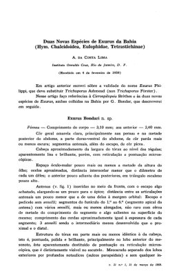 Duas Novas Esp&eacute;cies de Exurus da Bahia (Hym. Chalcidoidea