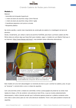 Criando 1 Cadeira de Rodas para Animais