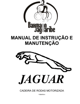 cadeira de rodas motorizada jaguar
