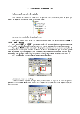 VETORIZANDO COM O ARC GIS 1. Conhecendo o arquivo de