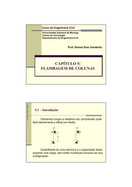 DEC2547-Capitulo 5 - Flambagem em colunas