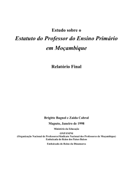 Estatuto do Professor do Ensino Prim&aacute;rio em Mo&ccedil;ambique