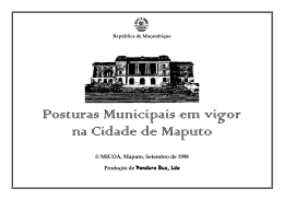 Posturas Municipais em vigor na Cidade de Maputo