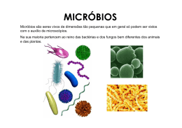 Micróbios 2 - Ciência Viva