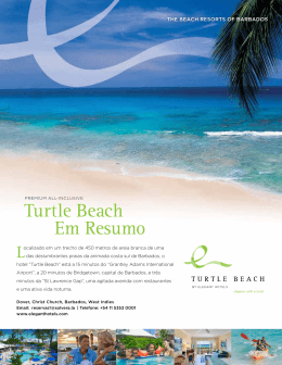 Turtle Beach Em Resumo