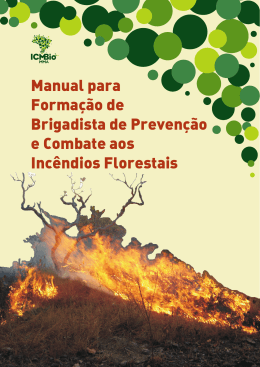 Manual para Forma&ccedil;&atilde;o de Brigadista de Preven&ccedil;&atilde;o e