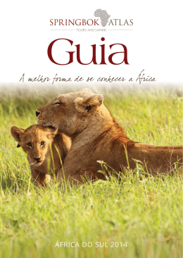 &Aacute;FRICA DO SUL 2014
