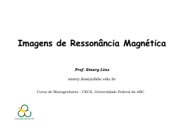 Fundamentos de Resson&acirc;ncia Magn&eacute;tica Nuclear