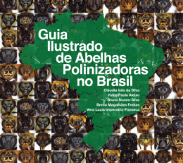 Guia Ilustrado de Abelhas Polinizadoras no Brasil