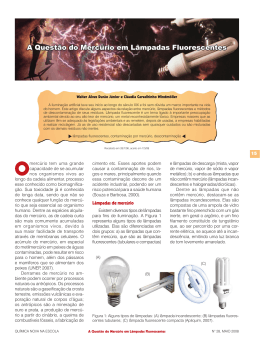 A Quest&atilde;o do Merc&uacute;rio em L&acirc;mpadas Fluorescentes