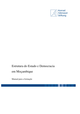 Estrutura do Estado e Democracia em Mo&ccedil;ambique