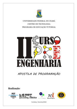 APOSTILA DE PROGRAMA&Ccedil;&Atilde;O - PET Engenharia Qu&iacute;mica