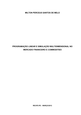 Programa&ccedil;&atilde;o linear e simula&ccedil;&atilde;o multidimensional no mercado