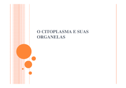 O citoplasma e suas organelas (2)