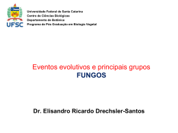Eventos evolutivos e principais grupos FUNGOS