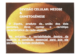 DIVISÃO CELULAR: MEIOSE & GAMETOGÊNESE