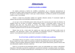 Alimenta&ccedil;&atilde;o